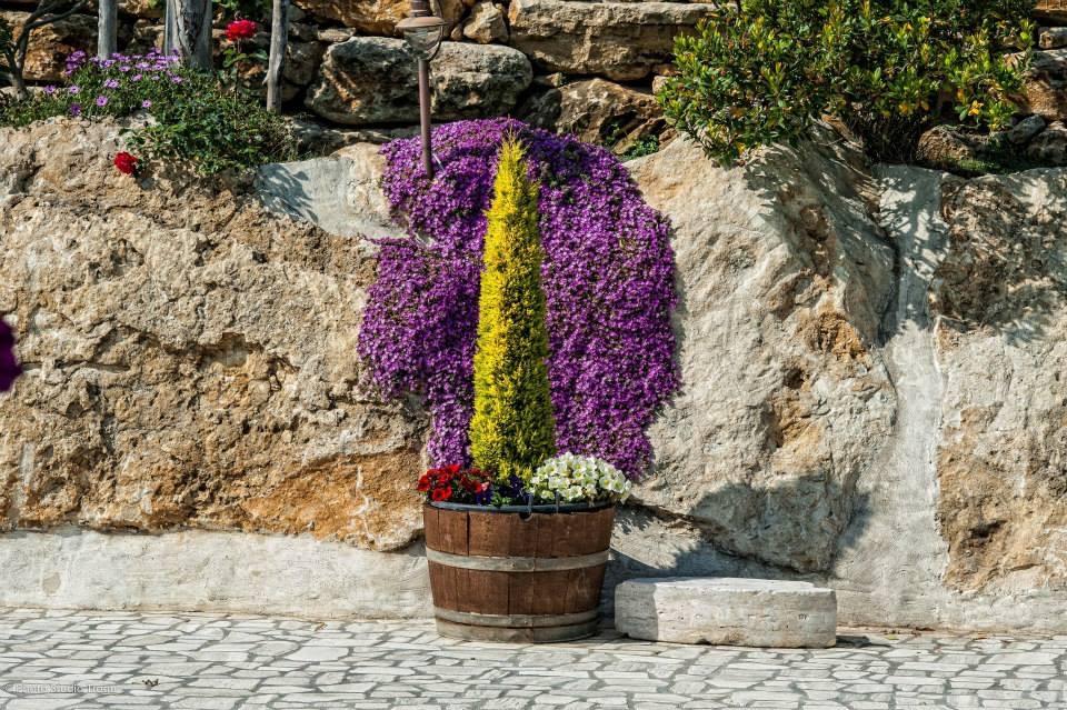 Il Giardino Dei Flintstones B&B Черветері Екстер'єр фото